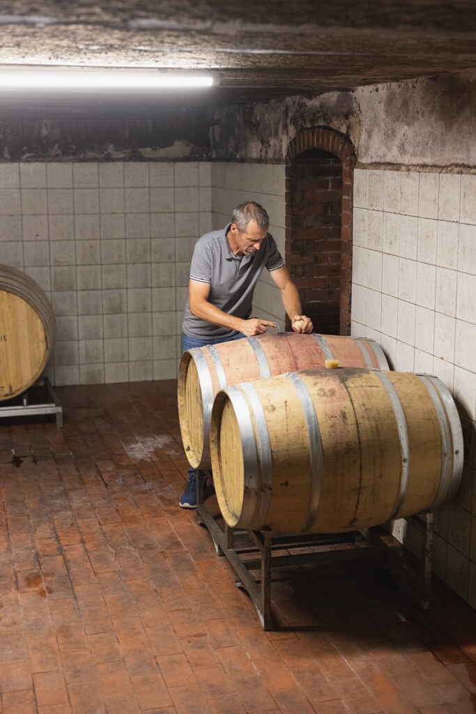Weinerlebnisführung im Weingut Grasmuck in der Südsteiermark - im alten Fasskeller