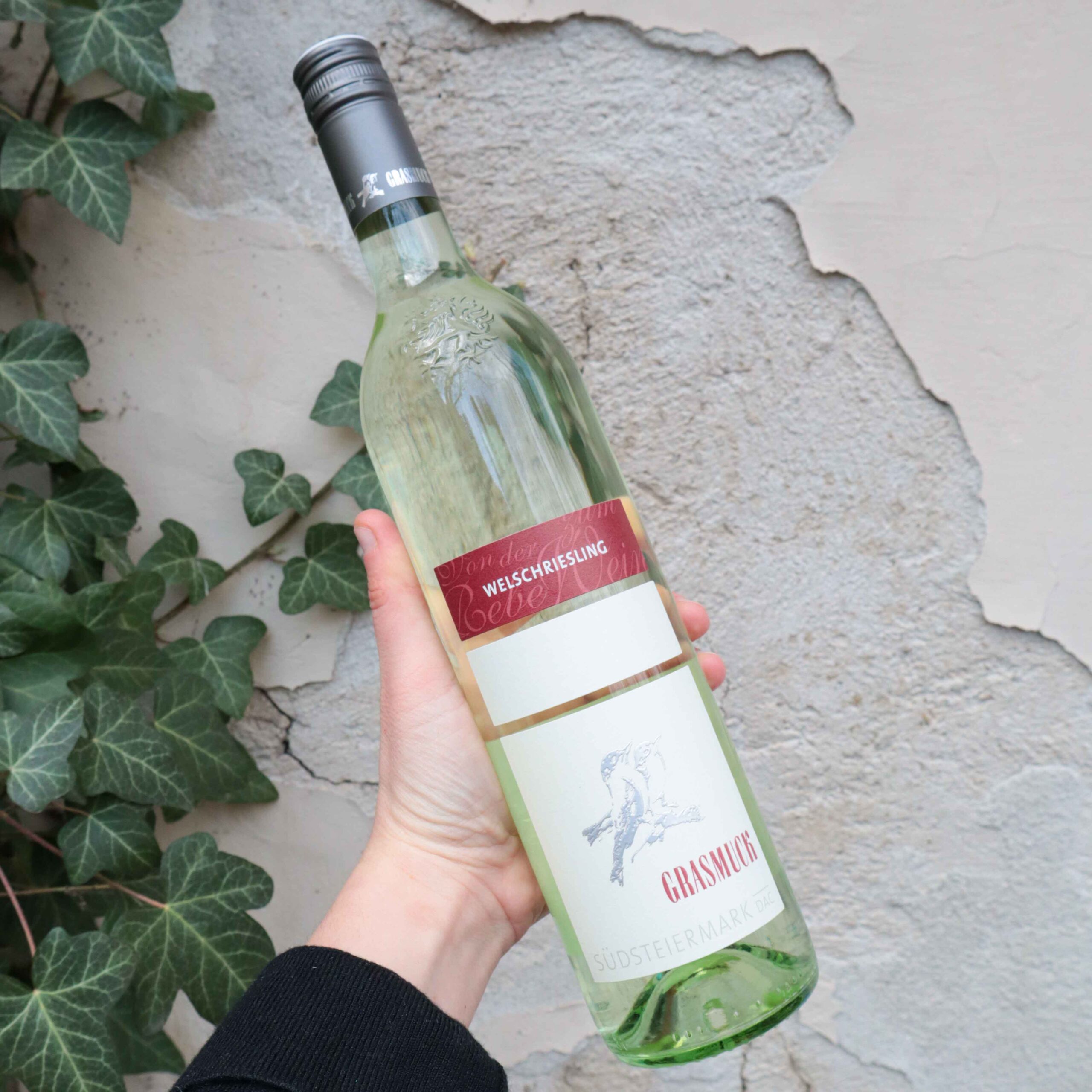 Welschriesling Südsteiermark DAC Weingut Grasmuck, Gamlitz, Südsteiermark